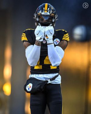 George Pickens Wallpaper