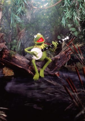 HD Kermit The Frog Wallpaper