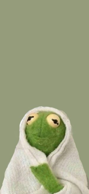 Kermit The Frog Wallpaper