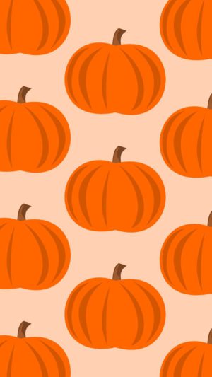 Pumpkin Wallpaper