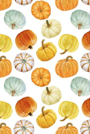4K Pumpkin Wallpaper