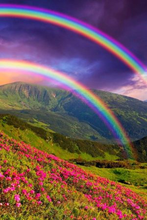 4K Rainbow Wallpaper 