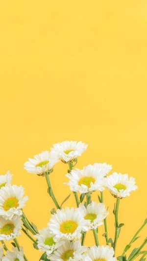 Yellow Wallpaper Yellow Wallpaper