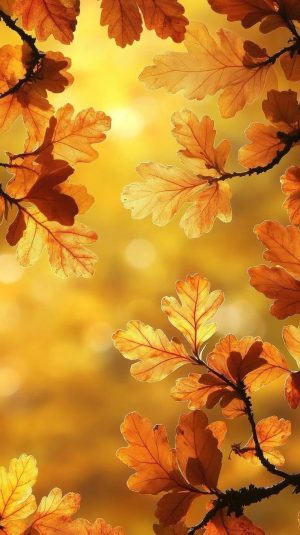 HD Yellow Wallpaper HD Yellow Wallpaper