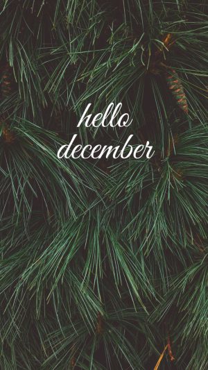 4K December Wallpaper 