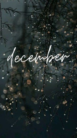 December Background 
