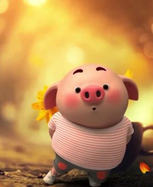 Pig Wallpaper