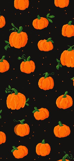 HD Pumpkin Wallpaper 