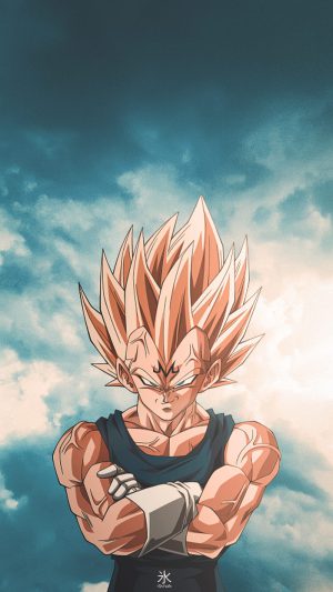 Vegeta Background 