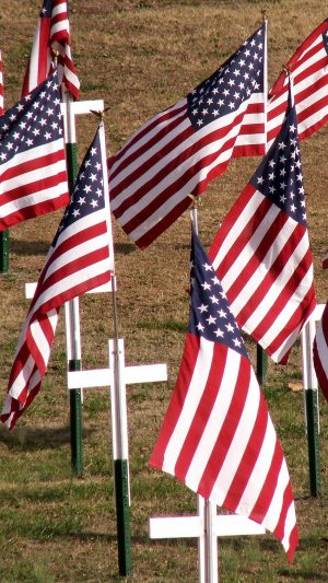 HD Veterans Day Wallpaper 