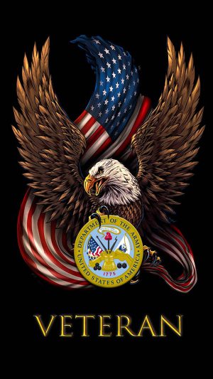 4K Veterans Day Wallpaper 