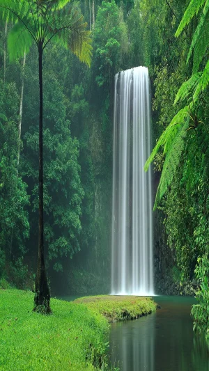 HD Waterfall Wallpaper 