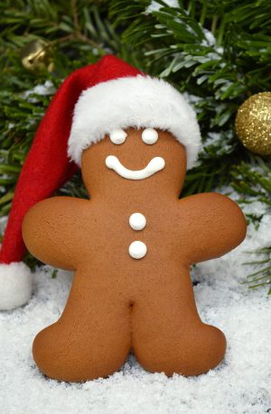 Gingerbread Man Wallpaper