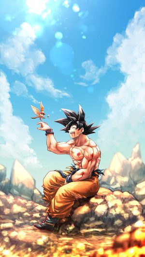 Son Goku Background