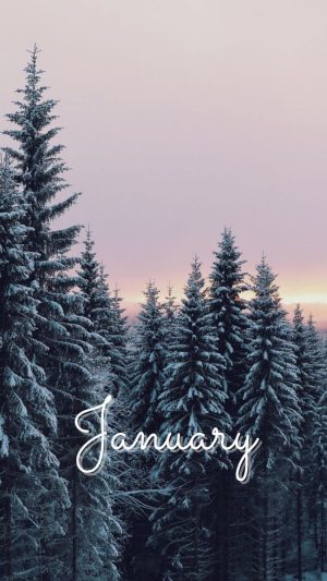 January Wallpaper