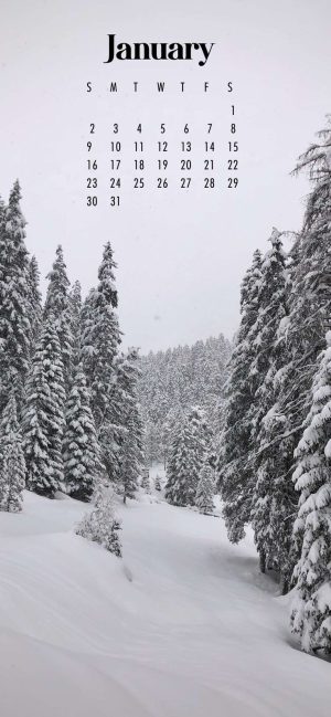 January Wallpaper