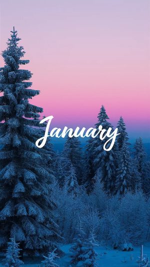 4K January Wallpaper