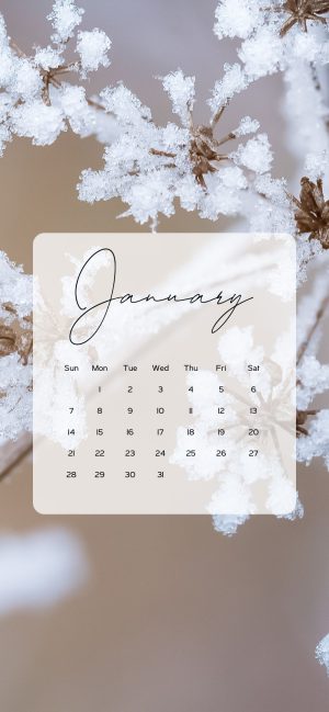 January Wallpaper