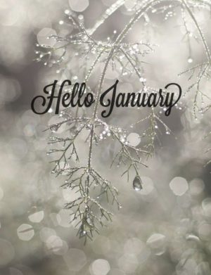 January Background