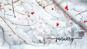 Desktop January Wallpaper