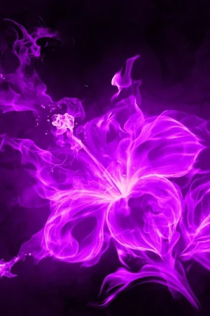 Purple Wallpaper