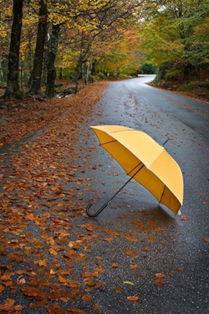 HD Rainy Day Wallpaper